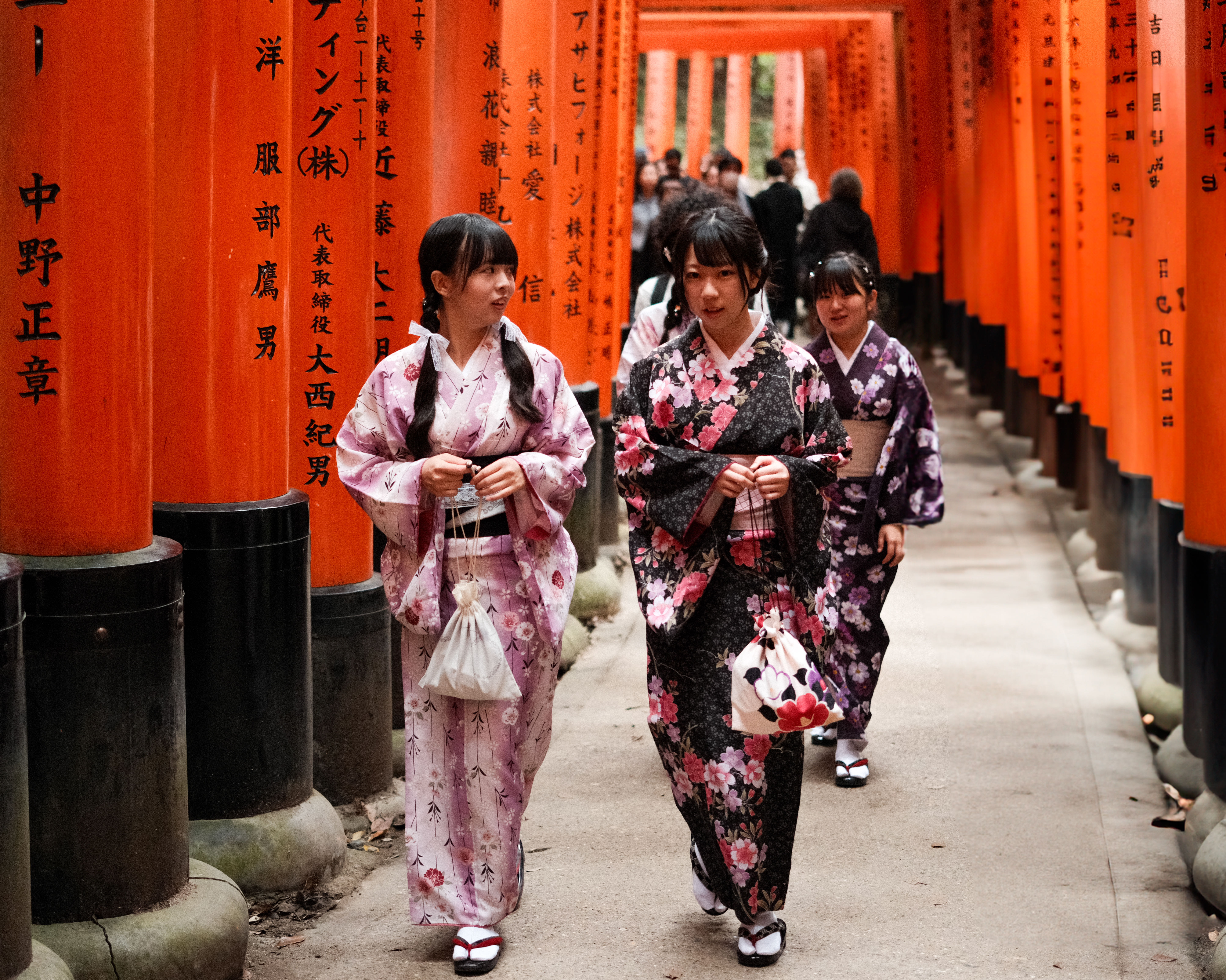 Beauty of Kyoto
